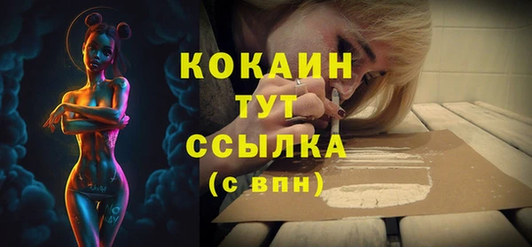 гидра Заволжск