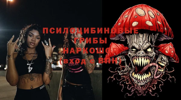 PSILOCYBIN Зеленокумск