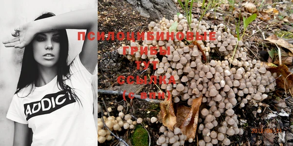 дмт Зерноград