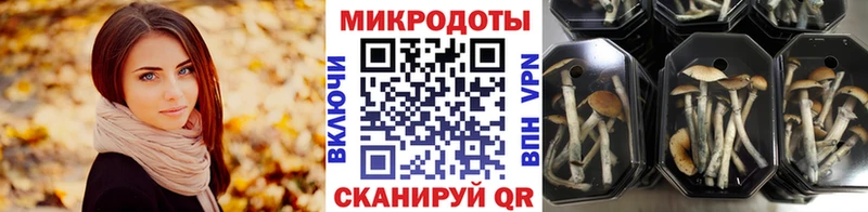 Псилоцибиновые грибы мицелий  Купить где  Починок 
